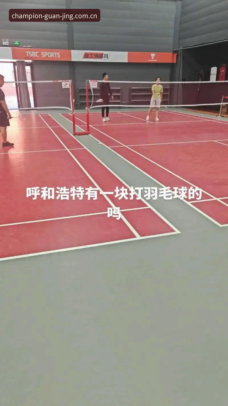 新手指南 vs 老手经验：冠竞体育平台从入门到精通的全面对比